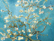 Almond Blossoms 1890 By Vincent van Gogh