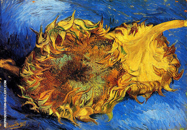 Two Cut Sunflowers by Vincent van Gogh | Oil Painting Reproduction