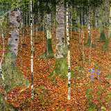 Birch Wood 1903 By Gustav Klimt