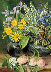 Chilean Flowers in Twin Mate Pot and Chili and Strawberries 1880 By Marianne North