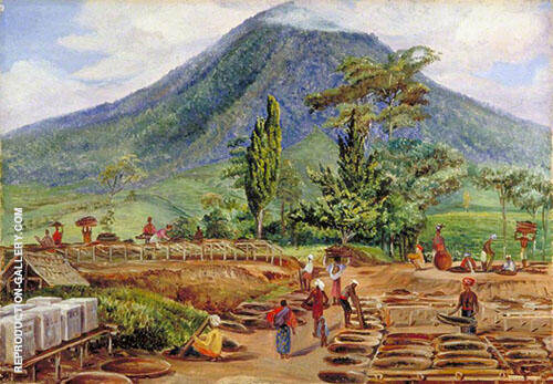 Tea Drying in Mr Holles Establishment Java 1876 | Oil Painting Reproduction