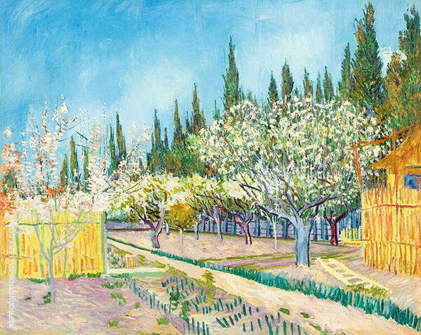 Orchard Bordered By Cypresses 18 Painting By Vincent Van Gogh