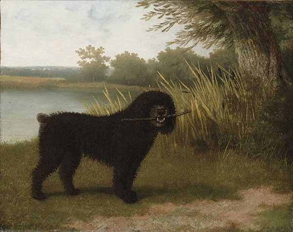 A Black Water Dog with a Stick by a Lake 1836 | Oil Painting Reproduction