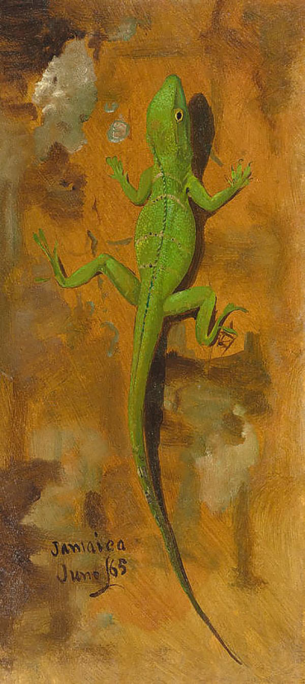 A Lizard Jamaica 1865 by Frederic Edwin Church | Oil Painting Reproduction