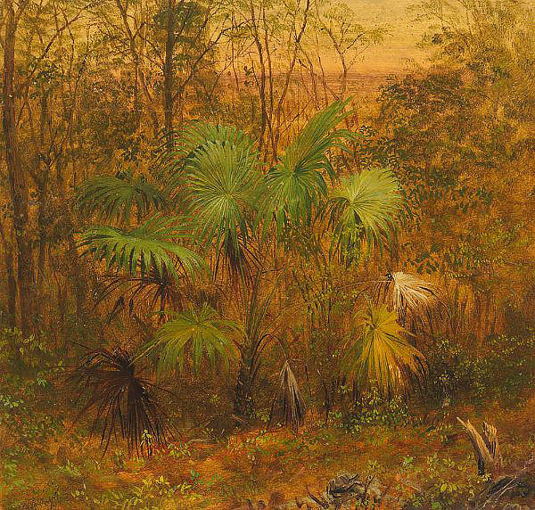 Thatch Palm Jamaica 1865 | Oil Painting Reproduction