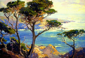 A Lonely Headland Point Lobos By Franz Bischoff