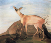 Deer 1893 By Tivadar Kosztka Csontvary