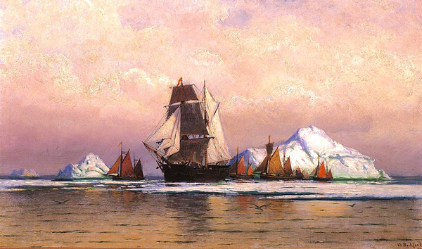 Fishing Fleet off Labrador by William Bradford | Oil Painting Reproduction