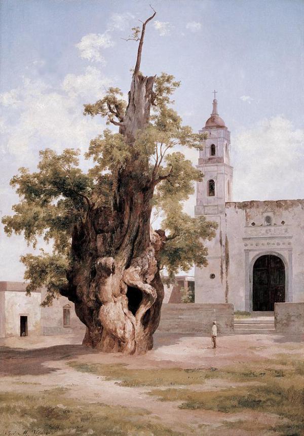 The Tree of the Sad Night | Oil Painting Reproduction