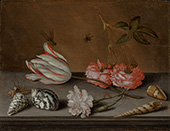 A Tulip Carnation Roses with Shells and Insects on a Ledge By Balthasar van der Ast