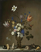 Flowers Shells Butterflies and Grasshopper By Balthasar van der Ast