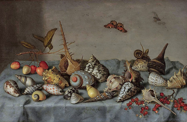 Still Life with Shells | Oil Painting Reproduction