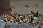 Still Life with Shells By Balthasar van der Ast