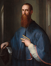 Portrait of Niccolo Ardinghelli By Jacopo Pontormo
