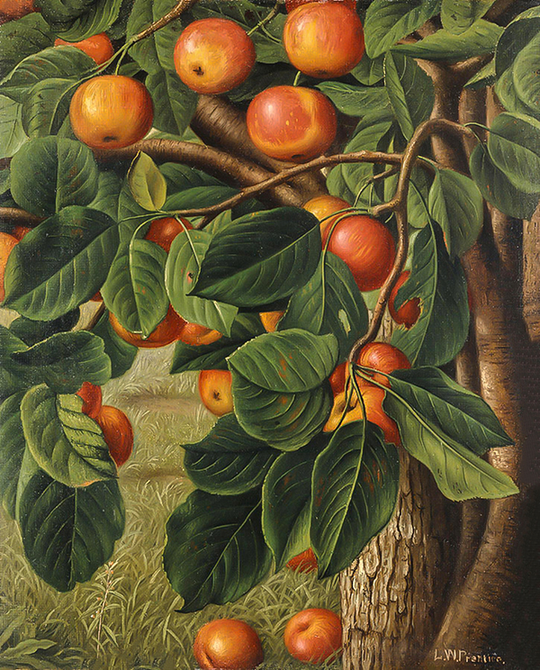 Crab Apples Hanging from a Tree | Oil Painting Reproduction