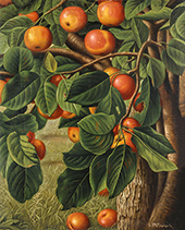 Crab Apples Hanging from a Tree By Levi Wells Prentice