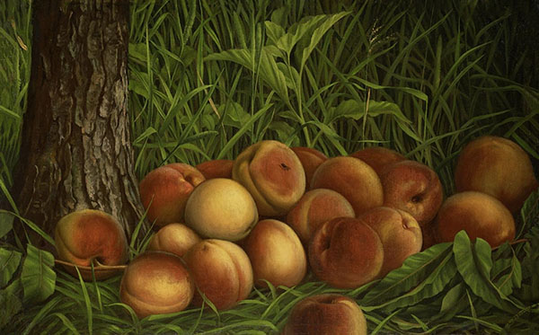 Peaches 1884 by Levi Wells Prentice | Oil Painting Reproduction