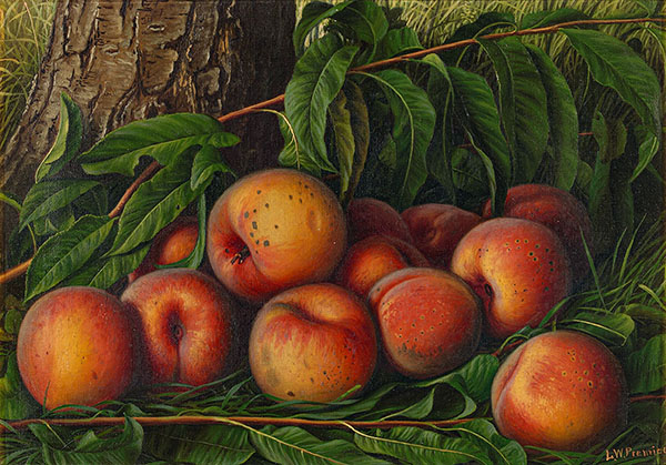 Peaches by Levi Wells Prentice | Oil Painting Reproduction