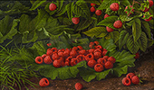 Raspberries and Leaves By Levi Wells Prentice