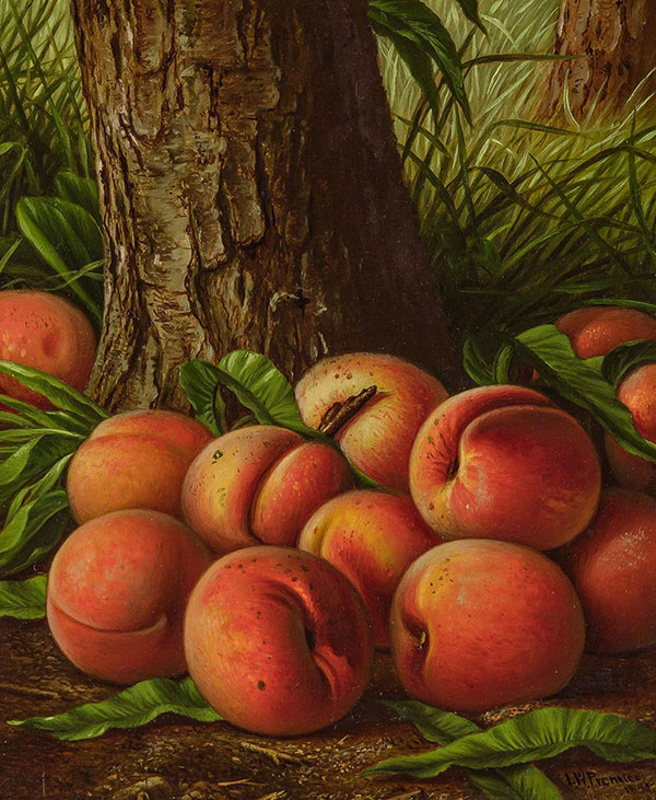 Still Life with Peaches 1890 | Oil Painting Reproduction