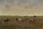 Grazing Cows in a Field By Niels Pedersen Mols