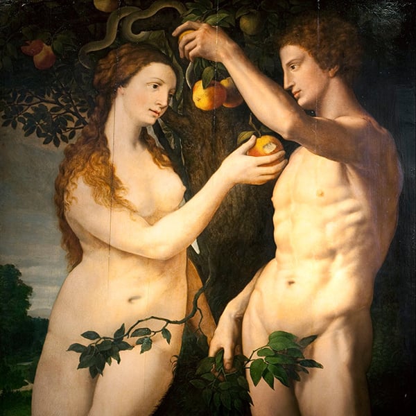 Oil Painting Reproductions of Frans Floris