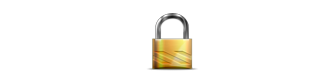 100% Secure Payment Protected By SSL Encryption