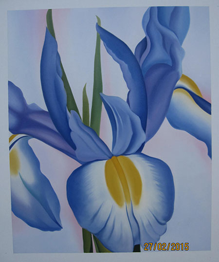 Lavender Iris 1951 - <a href='https://www.reproduction-gallery.com/oil-painting/1340012072/lavender-iris-1951-by-georgia-o-keeffe/'>More Detail</a>